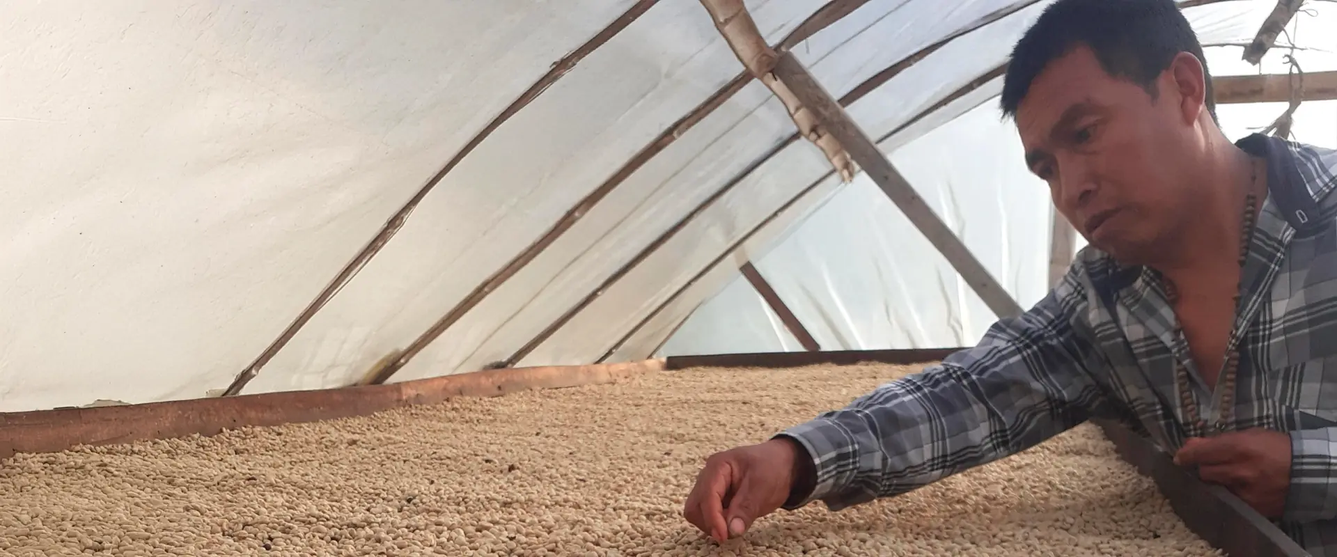 Nachhaltigkeit Hintergrund