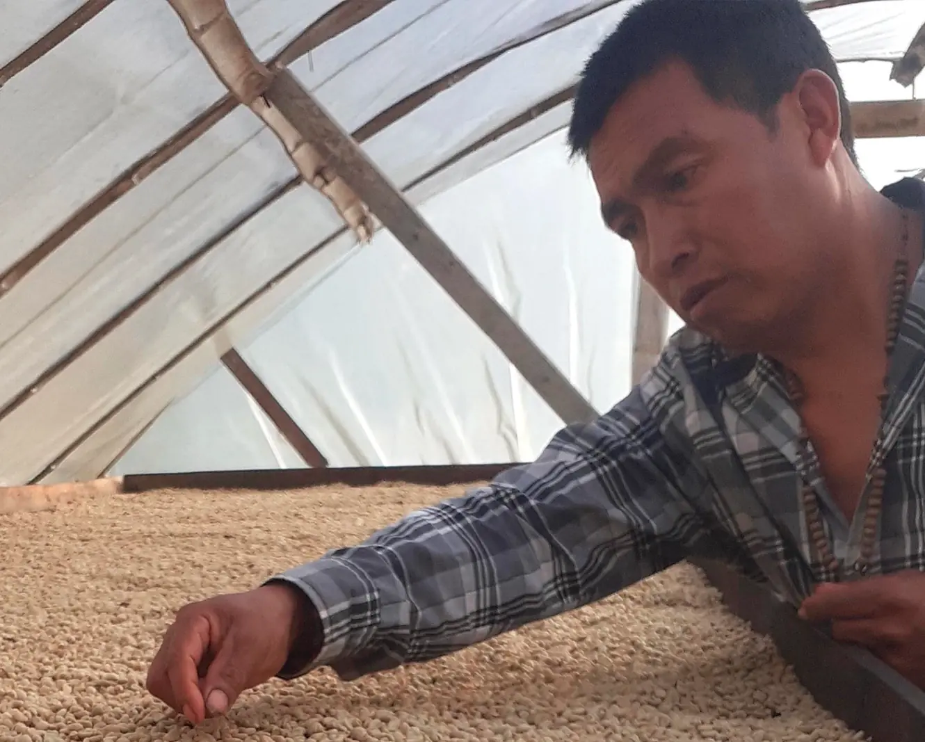 Nachhaltigkeit Hintergrund