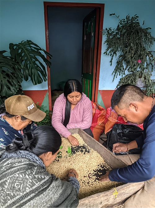 Honey prozess - Speciality Espresso <br> 250 Gr - 100% Arabica – Bild 2