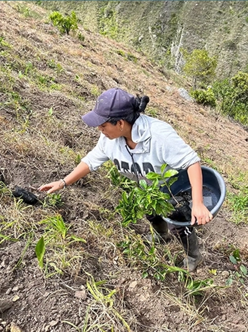 Honey prozess - Speciality Espresso <br> 250 Gr - 100% Arabica – Bild 4